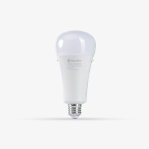 Đèn led bulb lưu điện A80.KC/9W Rạng Đông