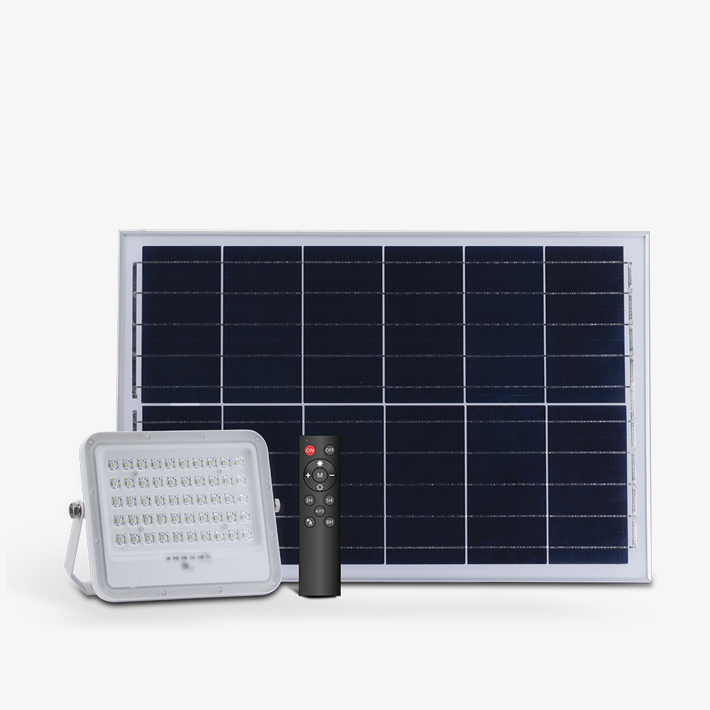 Đèn LED Chiếu pha NLMT CP02.SL.RF 30W.TC 6500K