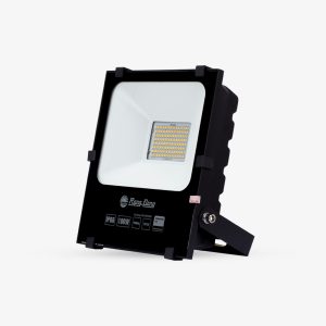 Đèn LED Chiếu pha CP06 100W 6500K SS