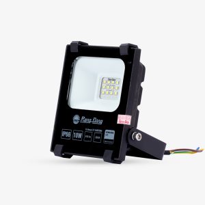 Đèn LED Chiếu pha CP06 10W 6500K SS
