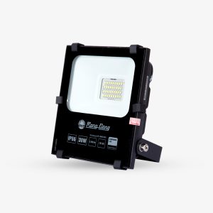 Đèn LED Chiếu pha CP06 30W 6500K SS