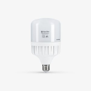 Bóng LED Bulb TR100N1/30W E27 6500K SS