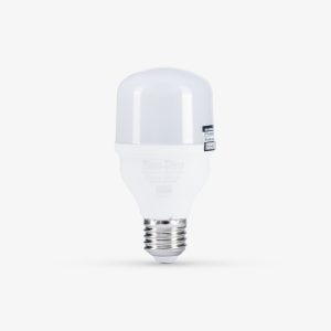 Bóng LED Bulb TR60N2/10W E27 6500K SS